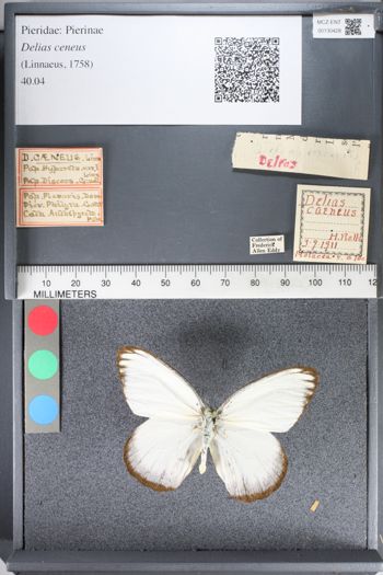 Media type: image;   Entomology 130428